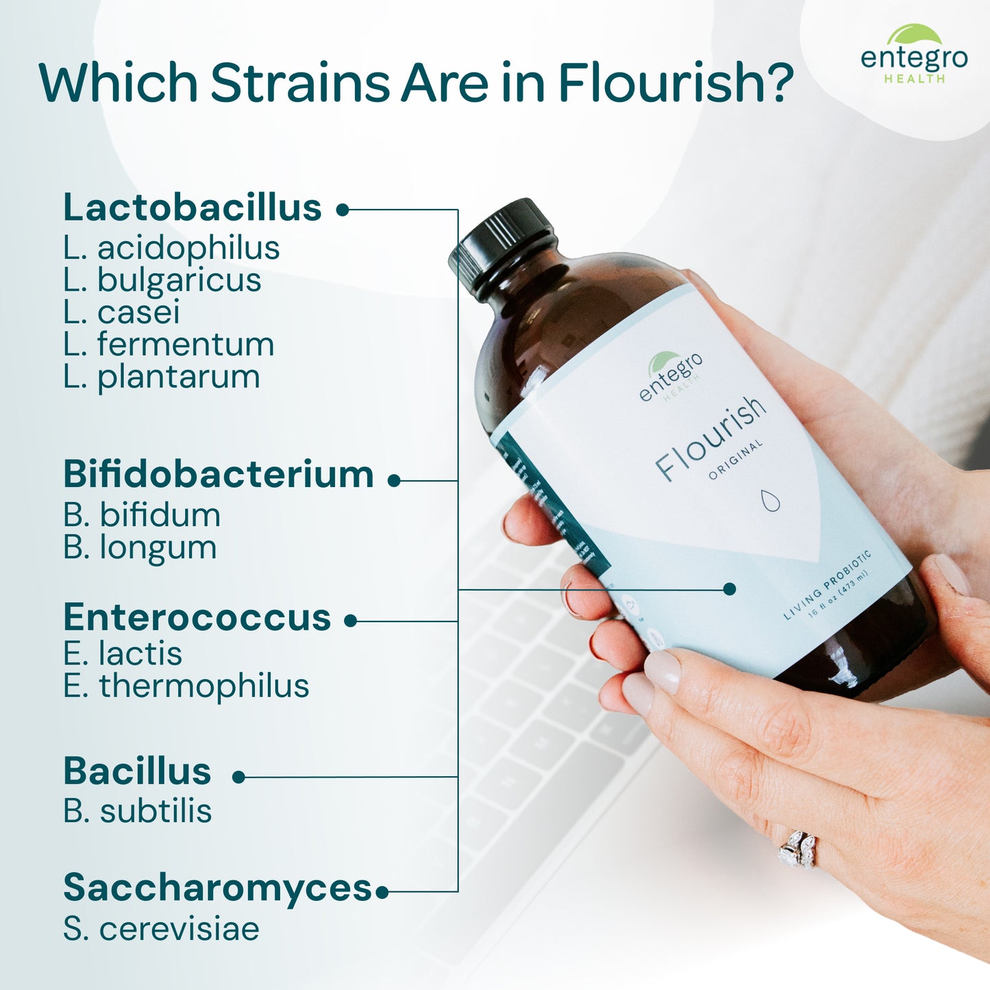 1 Flourish Original Living Probiotic + Dosing Glass | Simple Habits Starter Kit